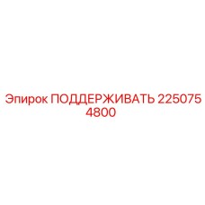 2250754800 ПОДДЕРЖИВАТЬ Epiroc