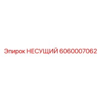 6060007062 НЕСУЩИЙ Epiroc