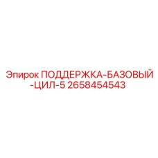2658454543 ПОДДЕРЖКА-БАЗОВЫЙ-ЦИЛ-5 - Epiroc