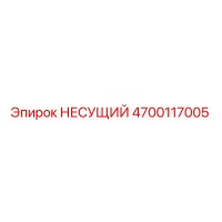 4700117005 НЕСУЩИЙ Эпирок