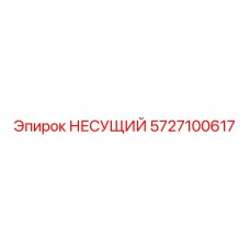 5727100617 НЕСУЩИЙ Epiroc