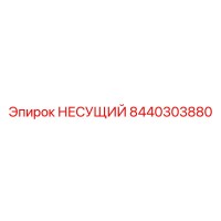 8440303880 НЕСУЩИЙ Epiroc