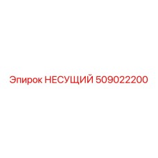 509022200 НЕСУЩИЙ Epiroc