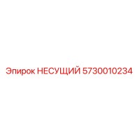 5730010234 НЕСУЩИЙ Epiroc