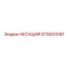 5730013181 НЕСУЩИЙ Epiroc