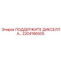 2204186505 ПОДДЕРЖИТЕ ДИКСЕЛЛА Epiroc