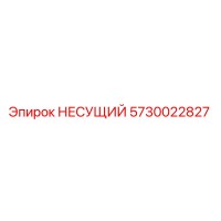 5730022827 НЕСУЩИЙ Epiroc
