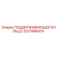3217998479 ПОДДЕРЖИВАЮЩЕЕ КОЛЬЦО Epiroc