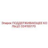 324155170 ПОДДЕРЖИВАЮЩЕЕ КОЛЬЦО Epiroc