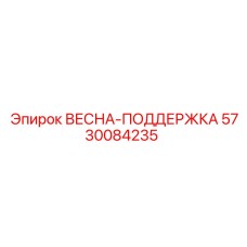 5730084235 ВЕСНА-ПОДДЕРЖКА Epiroc