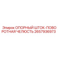 2657936973 ОПОРНЫЙ ШТОК-ПОВОРОТНАЯ ЧЕЛЮСТЬ Epiroc