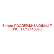 HC42440020 ПОДДЕРЖИВАЮЩИЙ ПОЯС… Epiroc