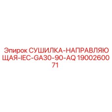 1900260071 СУШИЛКА-НАПРАВЛЯЮЩАЯ IEC-GA30-90-AQ для буровых установок Epiroc