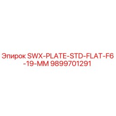 9899701291 SWX-PLATE-STD-FLAT-F6-19-MM Epiroc