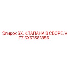 SX57581886 SX Клапана в сборе VP7 Epiroc