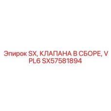 SX57581894 SX Клапана в сборе VPL6 Epiroc