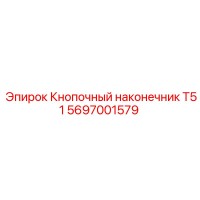5697001579 Кнопочный наконечник T51 Epiroc