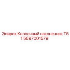 5697001579 Кнопочный наконечник T51 Epiroc