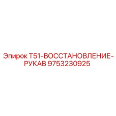 Рукав высокого давления 9753230925 T51-ВОССТАНОВЛЕНИЕ-РУКАВ