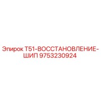 9753230924 T51-ВОССТАНОВЛЕНИЕ-ШИП Epiroc