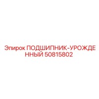 50815802 ПОДШИПНИК-УРОЖДЕННЫЙ Epiroc