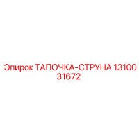 1310031672 ТАПОЧКА-СТРУНА Epiroc