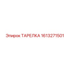 1613271501 ТАРЕЛКА Epiroc