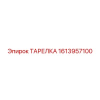 1613957100 ТАРЕЛКА Epiroc