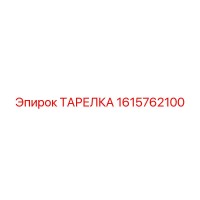 1615762100 ТАРЕЛКА Epiroc