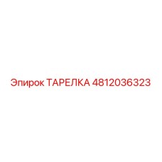 4812036323 ТАРЕЛКА Epiroc