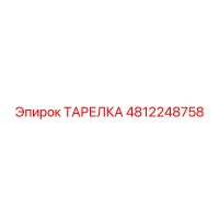 4812248758 ТАРЕЛКА Epiroc