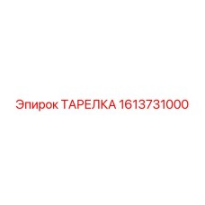 1613731000 ТАРЕЛКА Epiroc