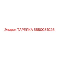 5580081025 ТАРЕЛКА Epiroc
