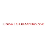 9106227228 ТАРЕЛКА Epiroc