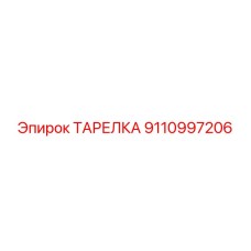 9110997206 ТАРЕЛКА Epiroc