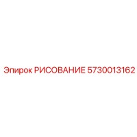 5730013162 РИСОВАНИЕ Epiroc