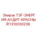 1310030238 ТЭГ-ЭНЕРГИЯ-АУДИТ-КРАСНЫЙ (Epiroc)