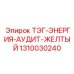 1310030240 ТЭГ-ЭНЕРГИЯ-АУДИТ-ЖЕЛТЫЙ (Epiroc)