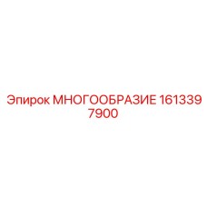 1613397900 МНОГООБРАЗИЕ Epiroc