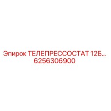 6256306900 ТЕЛЕПРЕССОСТАТ 12Б… Epiroc