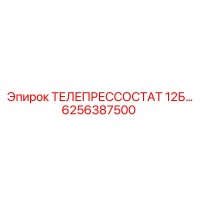 6256387500 ТЕЛЕПРЕССОСТАТ 12Б… Epiroc