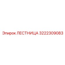 3222309083 ЛЕСТНИЦА Epiroc