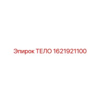 1621921100 ТЕЛО Epiroc