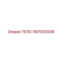 1901002536 ТЕЛО Epiroc