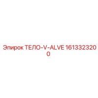 1613323200 ТЕЛО-V-ALVE Epiroc