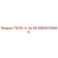 6953076900 ТЕЛО-V-ALVE Epiroc