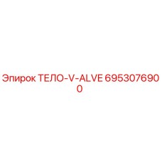 6953076900 ТЕЛО-V-ALVE Epiroc