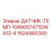 1624980300 ДАТЧИК-ТЕМП-1089057471DWA12-4 Epiroc
