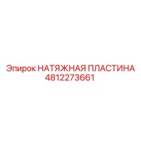 4812273661 НАТЯЖНАЯ ПЛАСТИНА Epiroc