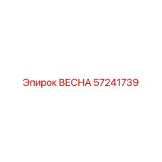 57241739 ВЕСНА Epiroc
